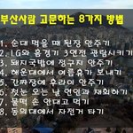 [드루와] <b>부산</b> 사람 고문하는 8가지 방법