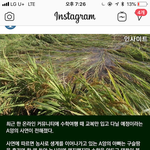 판 <b>톡선</b>에 올라왔던 수학여행때 교복입고 간다는 쓰니 기사뜸