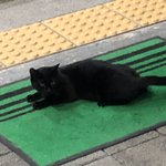 [<b>질문바듬</b>] 이디야 알반뎅