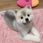 [<b>얼른</b>와봐라] 이런 패션 어떰??