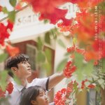 어쩌다발견한하루vs나의나라