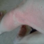 청와대 청원계시판에 글올린후 3천배나 더 괴롭힙니다