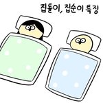 <b>집돌</b>이, <b>집</b>순이 특징