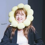 예쁜 이름의 홈마들