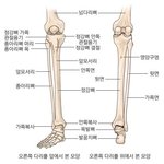 뛰거나 걸을때 <b>종아리</b> 뼈가 아픔