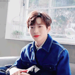 [프듀X] 심심하면 바보갱얼쥐 강모 보고 가(+덤으로 원진이도)