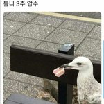 [드루와] 친구들 사이에 시기<b>질투</b>가 많아?