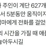 [모두드루와] <b>애플</b>워치...........;;;;;