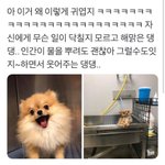 [드루와] 시험기간 재수없는 애 진짜 <b>개시</b>룸