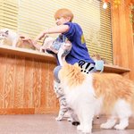 [모두드루와] 강다니엘 브이앱에서 절도범 나옴