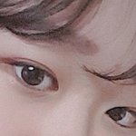 [사진ㅇ] 나 눈평해주고 가랑