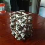 [댓글부탁해] 닭날개 먹은 뼈로 탑 <b>쌓음</b> ㅋㅋ