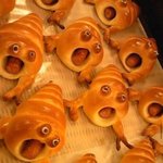 [모두드루와] <b>엠넷</b> 서바 시청률은 안준영이 답인가