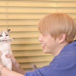 강다니엘 브이앱에 나온 <b>츄</b>르 절도냥이 봐ㅋㅋㅋ