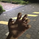 [드루와] 나 <b>손톱</b> 기르는 중인데 좀 봐줘(약혐??