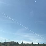 얘드라 이거 머랴??