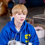 [강다니엘] 먐먐