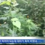 [프듀X] 아 개웃겨 ㅋㅋㅋㅋㅋㅠ