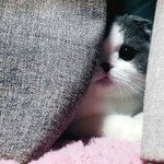 <b>어느</b> <b>곳</b>에서나 널 보고있어