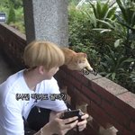 [강다니엘] <b>컬러</b><b>풀</b>다니엘 올라왔어!