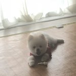 [댓글부탁해] <b>사진속</b> ㄹㅇ 내 이상형임