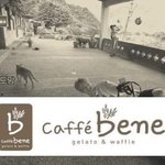 [강다니엘] 극한직업 고양이<b>집사</b>