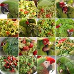 '함정카드' <b>발동</b>한 동물 사진들