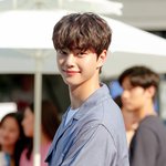 송강 어깨 뭐임