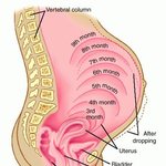 애낳으면 몸매 망가진다가 아니라 몸 망가진다였겠네요