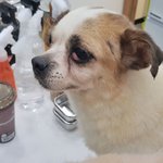 학대가 일상이었던 <b>영호</b>에게 힘이 되어주세요
