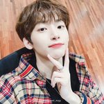 [드루와] 나 길에서 샴고양이 본적있다