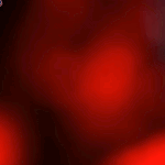 [러블리즈] 퀸덤 반응 좋아서 행복해