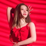 다현 이 짤 <b>쯔위</b> 닮음