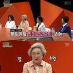 미우새 아들들이 <b>장가</b>못간 이유