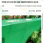 [모두드루와] 은혜 갚는 <b>까치</b>