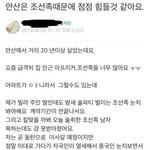 [댓글부탁해] 안산드레<b>아스</b>...jpg