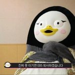 [<b>프듀X</b>] 요즘 둘기각 보이는 아이돌 ㄷㄷ
