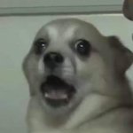 [댓글부탁해] '이기' 쓰면 <b>일베</b>임?