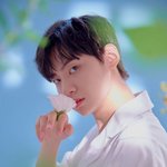 [프듀<b>X</b>] 정규 편성 '괴팍한 5형제' 이진혁 합류