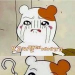 햄<b>토리</b>는 너무 귀엽다