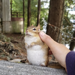 [댓글부탁해] 귀여운 <b>닉넴</b> 뭐이슬까.....