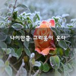 [너가봤으면] 나이만큼 그리움이 <b>온다</b>~