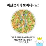 한번에 보이면 <b>색맹</b>