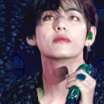 [방탄소년단] 타팬인데 정국이랑 <b>뷔</b> 이 날 사진 줄 수 있을까ㅜㅜㅜ