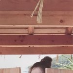 <b>대문</b>앞 아이린