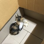 우울할때 <b>소소</b>한 꿀팁 추천...