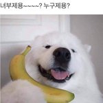 [댓글부탁해] 얘들아 내 <b>섀도우</b> 어딨을거 같냐?