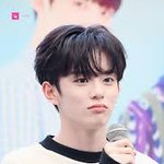 비둘기 함정.gif