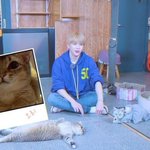 [강다니엘] 강다니엘 고양이들과 만난 멈무 스타로드 7화