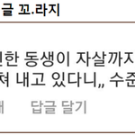 설리뿐 아니라 여자연예인 <b>한테</b> 악플 그만 달어.